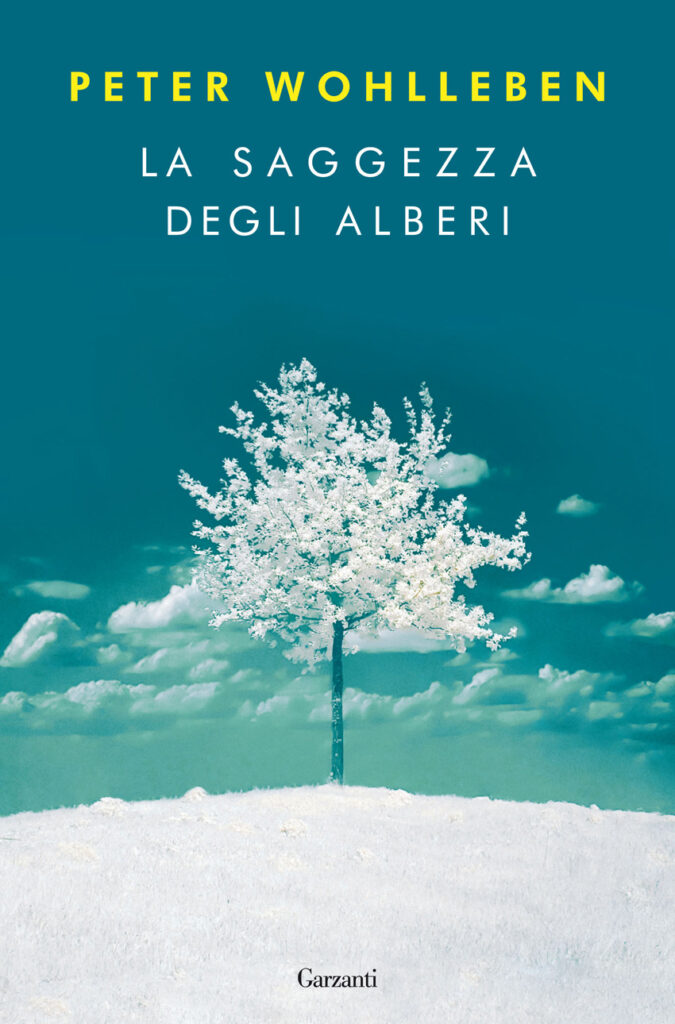 Peter Wohlleben – La saggezza degli alberi (2017)