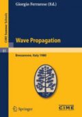 Giorgio Ferrarese -Wave Propagation (2011)