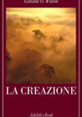 Edward O. Wilson - La creazione (2016)