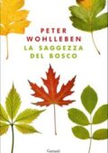 Peter Wohlleben - La saggezza del bosco (2018)