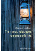 Damon Galgut - In una stanza sconosciuta (2011)