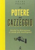 img Srini Pillay - Il potere del cazzeggio (2017)