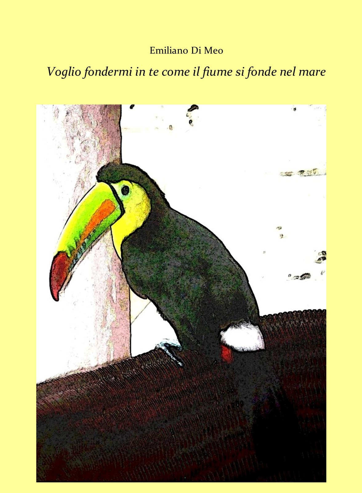 Emiliano Di Meo – Voglio fondermi in te come il fiume si fonde nel mare (2016)