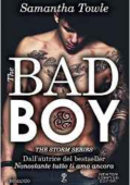 Samantha Towle - The Storm Vol. 1. The bad boy (2016)
