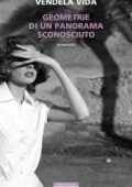 Vendela Vida - Geometrie di un panorama sconosciuto (2016)