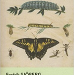 img Fredrik Sjöberg - Il re dell