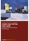 Pierluigi Vuillermin - Come una pietra che cade (2020)