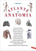 img AA.VV. - Atlante di anatomia (2014)
