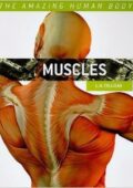 img Muscles (Amazing Human Body)