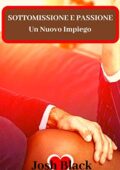 Josh Black - Un nuovo impiego (2019)