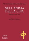 img Antonio Spadaro - Nell