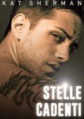 img Kat Sherman - Stelle cadenti (2019)