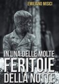 img Emiliano Misici - In una delle molte feritoie della notte (2020)