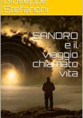 img Giuseppe Stefanoni - SANDRO e il vi...