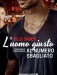 Elle Casey - I ragazzi di Bourbon Street Vol. 1. L'uomo giusto al numero sbagliato (2017)