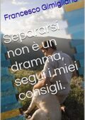 img Francesco Gimigliano - Separarsi non è un dramma, segui i miei consigli (2016)