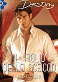 Kristi Gold - Il figlio dello sceicco (2015)