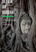 img Stefano Esposito - Sei già un Buddha: Pensieri ispirati dal profondo (2018)