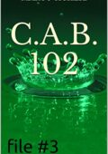 img Marco Sicheri - C.A.B. 102 - file #3 (2019)