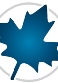 Maplesoft Maple 2024.1.1 64 Bit - Eng