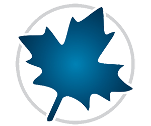 Maplesoft Maple 2026.0.0 64 Bit – ENG