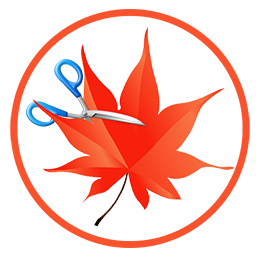 Easy Cut Studio v6.020 64 Bit – Ita