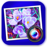 img JixiPix Spektrel Art v1.1.22 64 Bit - Eng