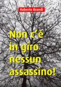 Roberto Brandi  - Non c’è in giro nessun assassino! (2015) pdf