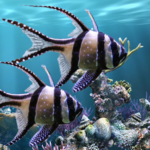 img [ANDROID] Il vero acquario - sfondo animato Pro v2.37 .apk - ITA