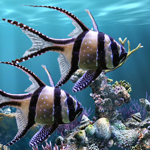 [ANDROID] Il vero acquario - sfondo animato v2.30 Mod .apk - ITA