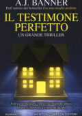 A.J. Banner - Il testimone perfetto (2019)