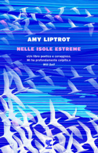 Amy Liptrot – Nelle isole estreme (2017)
