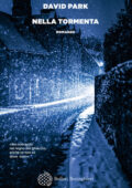 David Park - Nella tormenta (2019)