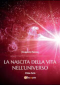 img Domenico Piccoli - La nascita della...