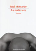 Raul Montanari - La perfezione (2019)