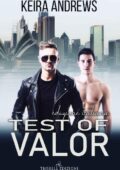 Keira Andrews - Test of valor (2019)