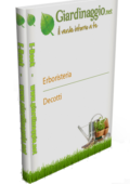Il Verde intorno a Te - Erboristeria, Decotti, Tisane, Infusi, Succhi (4 Volumi in Uno) 2019