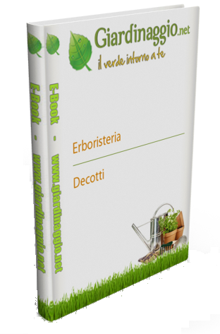 Il Verde intorno a Te – Erboristeria, Decotti, Tisane, Infusi, Succhi (4 Volumi in Uno) 2019