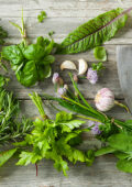 img AA. VV. Guida alle Erbe Aromatiche e Officinali (2008)