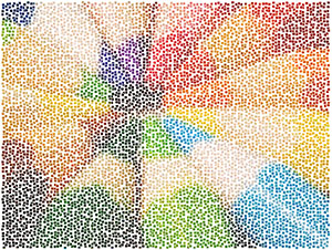 Mosaizer XV v16.0.0.18 – Eng