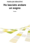 img Maria Pia Talocchini - Ho lasciato andare un sogno (2020)