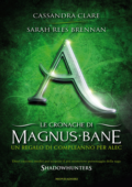 Cassandra Clare, Sarah Rees Brennan - Le cronache di Magnus Bane - 8. Un regalo di compleanno per Alec (2014)