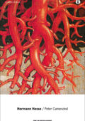 img Hermann Hesse - Peter Camenzind (2010)