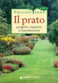 img Lorena Lombroso, Simona Pareschi - Il prato (2010)