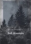 Brian Panowich - Bull Mountain (2015)