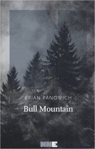 Brian Panowich – Bull Mountain (2015)