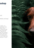 Adobe Photoshop Lightroom v6.4 64 Bit - Ita