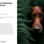 img Adobe Photoshop Lightroom v6.4 64 Bit - Ita
