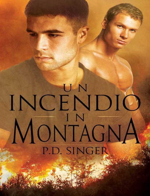 P.D. Singer – Un incendio in montagna (2014)