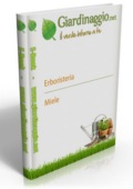 img Il Verde Intorno a te - Miele (2013)